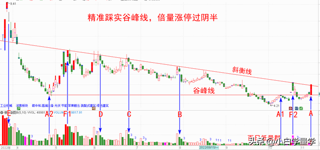 量学涨停密码