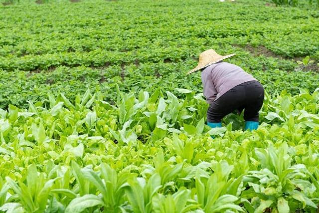 隔壁新搬来一位美女，每晚12点，她都会偷偷与我相见