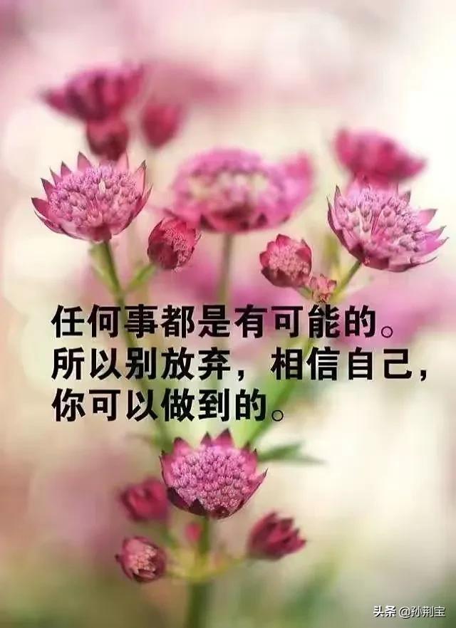 记录：美女主动添加微信，她不是第一个，更不是最后一个