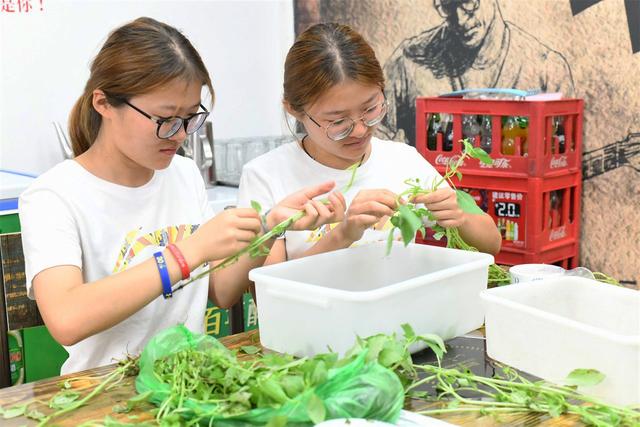 双胞胎女大学生暑假勤工俭学，吃苦耐劳受赞扬，老板主动涨薪