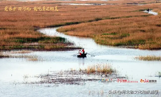 养在深闺的12位河北“美女”，哪一款才是你的最爱？