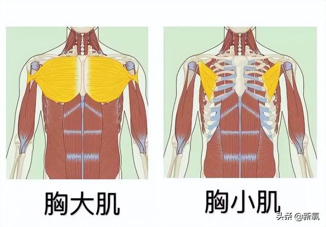 没穿内衣上红毯就被喷胸垮成饼？这两年她经历了啥…