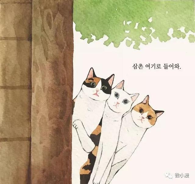 一位绘猫成瘾的插画师，她的作品全是喵咪..（漫画）