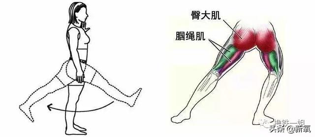 石原里美xo腿、新垣结衣罗圈腿，日本女性大多被腿型重灾区淹没