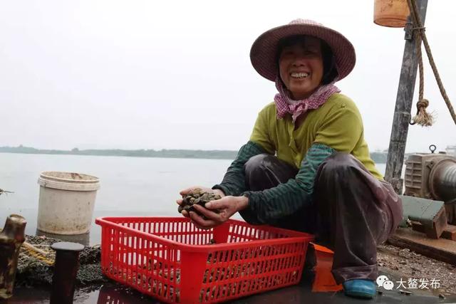 寻味江门：这个吃正宗黄沙蚬的新胜地，大部分的街坊都不知道！