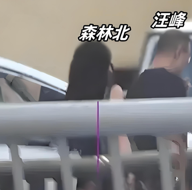 汪峰与小21岁美女疑似恋情曝光，新女友容貌撞脸章子怡李富真！