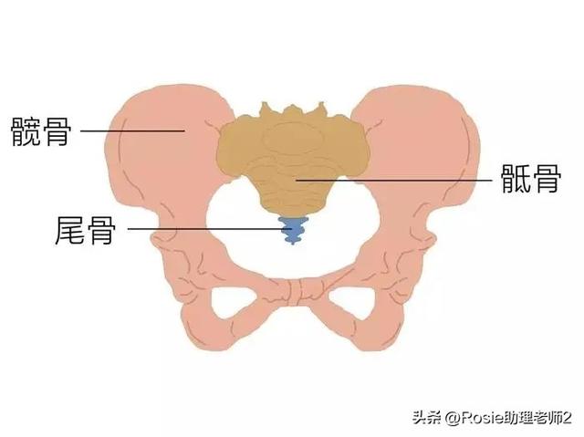 杨幂长腿细腰性感撩人，扁塌肥臀如何变翘臀？先回正骨盆再虐臀