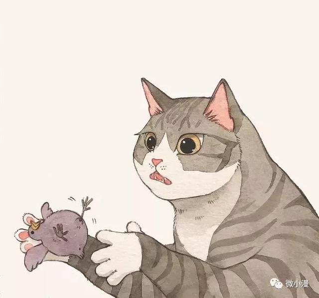 一位绘猫成瘾的插画师，她的作品全是喵咪..（漫画）