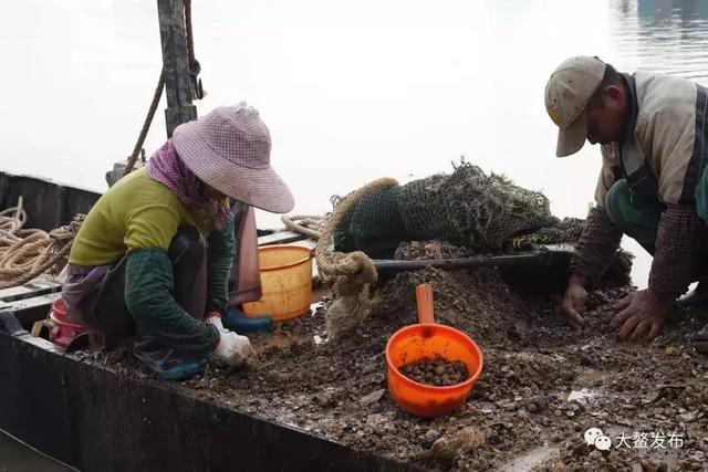 寻味江门：这个吃正宗黄沙蚬的新胜地，大部分的街坊都不知道！