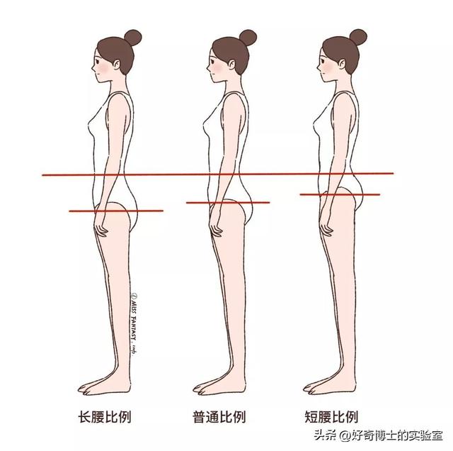 女生屁股上方这两个坑，到底是啥？只有长得好看的人才有吗？