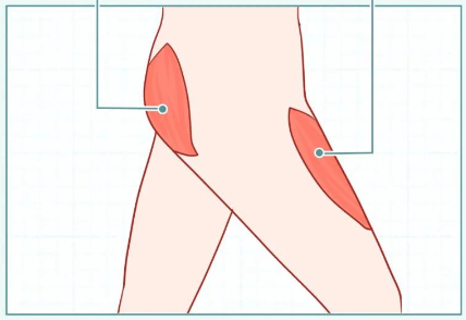 漫画科普：女生大腿太粗，怎么办？