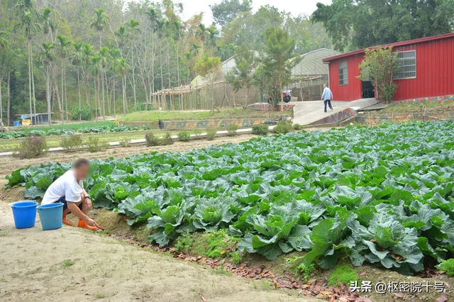 在台湾蹲这种监狱，竟然像度假那么爽，网友炸锅了