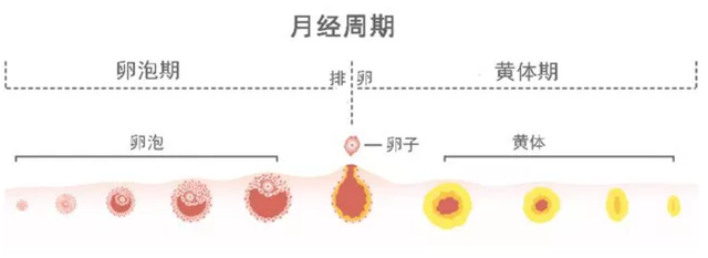 13岁女生肚子爬满“妊娠纹”，去医院一检查，妈妈当场吓懵了