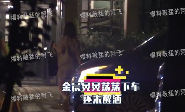 金晨恋情疑曝光？深夜与小鲜肉聚会喝醉，两人在车内热吻被拍