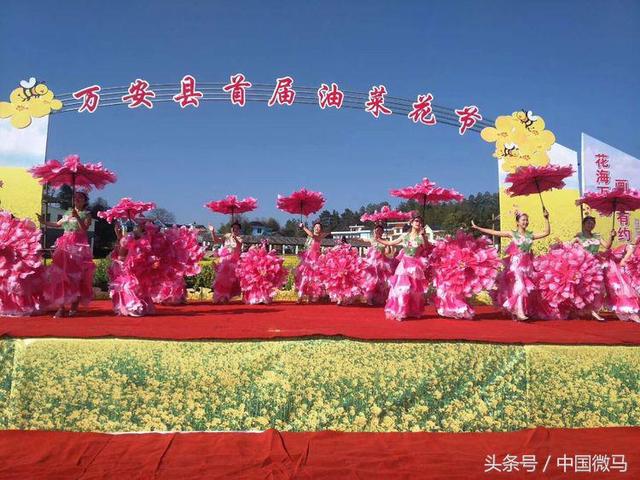 田北油菜花艳艳—画村美镇花儿开