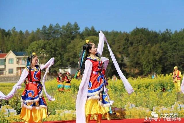 田北油菜花艳艳—画村美镇花儿开