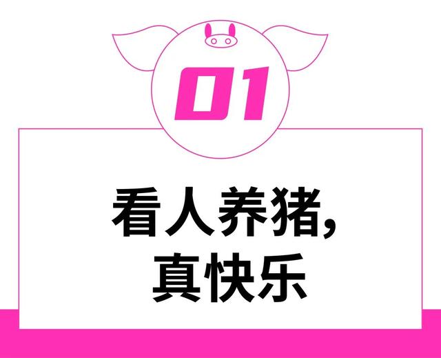 围观美少女养猪，成了社恐白领的精神马杀鸡