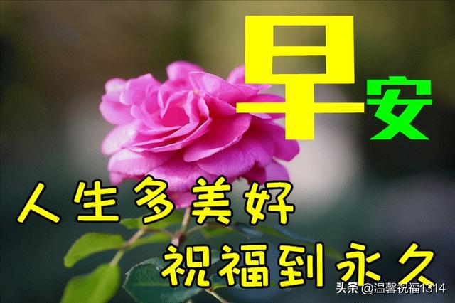 12月9日冬天暖心问候句子，2022特别漂亮精美动态图片