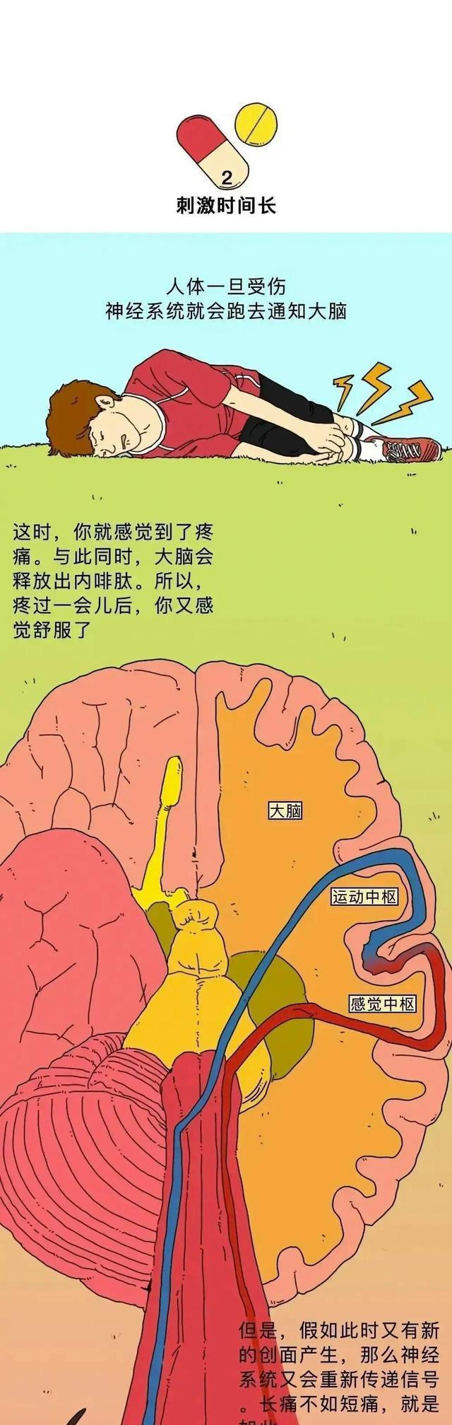 90后都打过的“屁股针”，究竟有多疼？一组漫画体验，你打过没