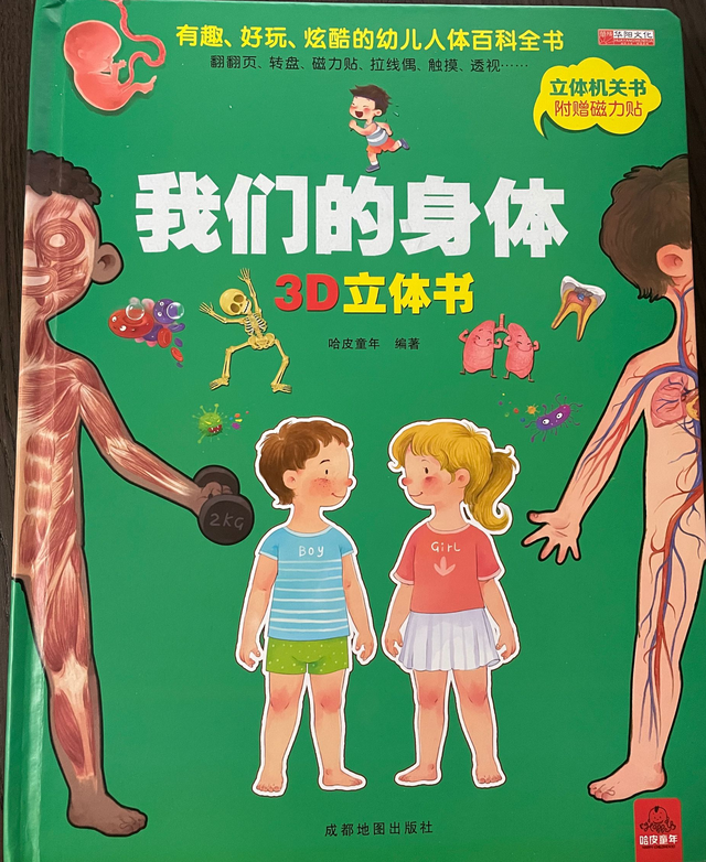 打闹时被女同学踢裆部，后果心痛：家长尽早告诉孩子怎样保护身体