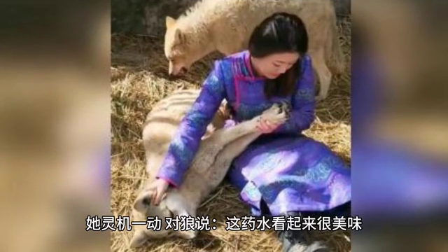 狼与美女故事