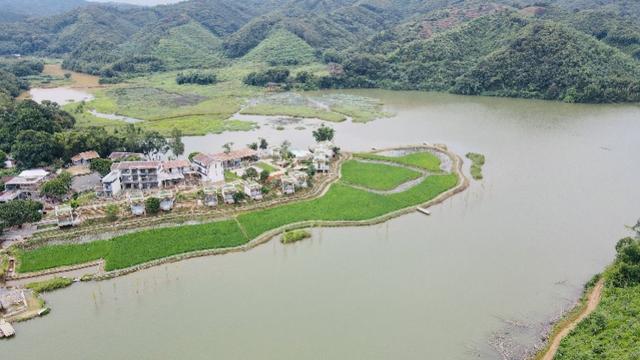 广州周边怎么玩？清远游说走就走：看花海、感受高山牧场