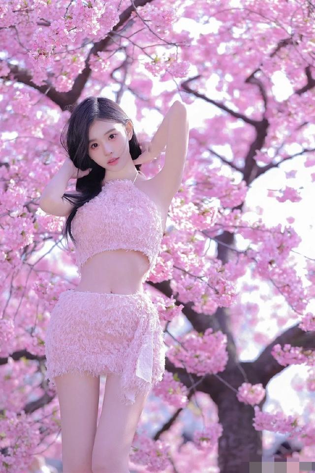 美女写真26•樱花女神