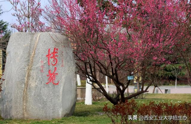 高清大图，惊艳来袭！一起来看西安工业大学的“最美校花”