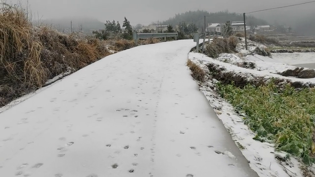 特清纯的雪中美景氧吧