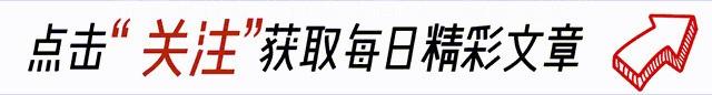 东北某大学情侣，在食堂上演“喂奶”大片，网友：碗里的菜不香啦