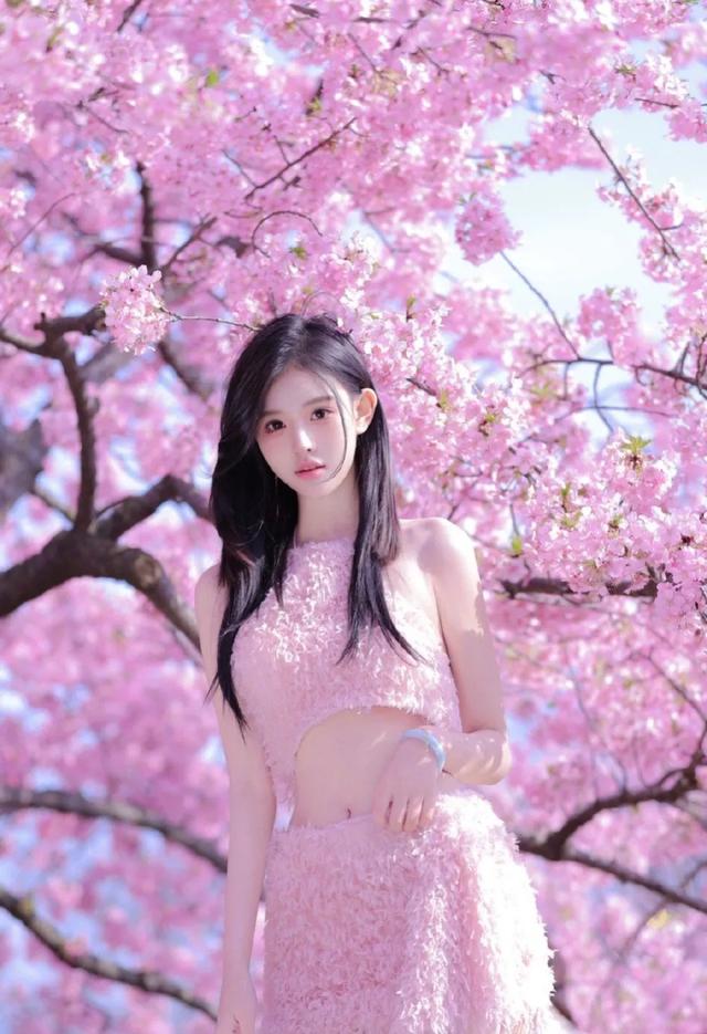 美女写真26•樱花女神