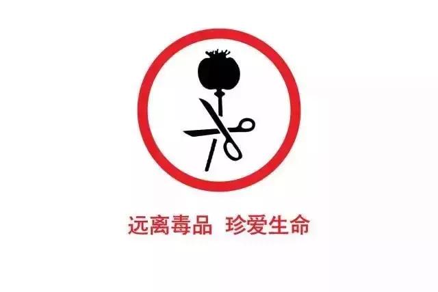 女生掀裙自拍：年纪轻轻却离不开尿布！告诫大家远离毒品！