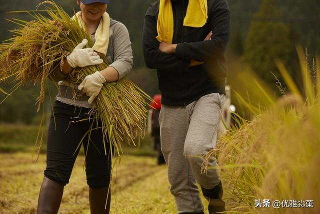 老公看我太瘦了，杀一头藏香猪给我补一补，一家人其乐融融很幸福