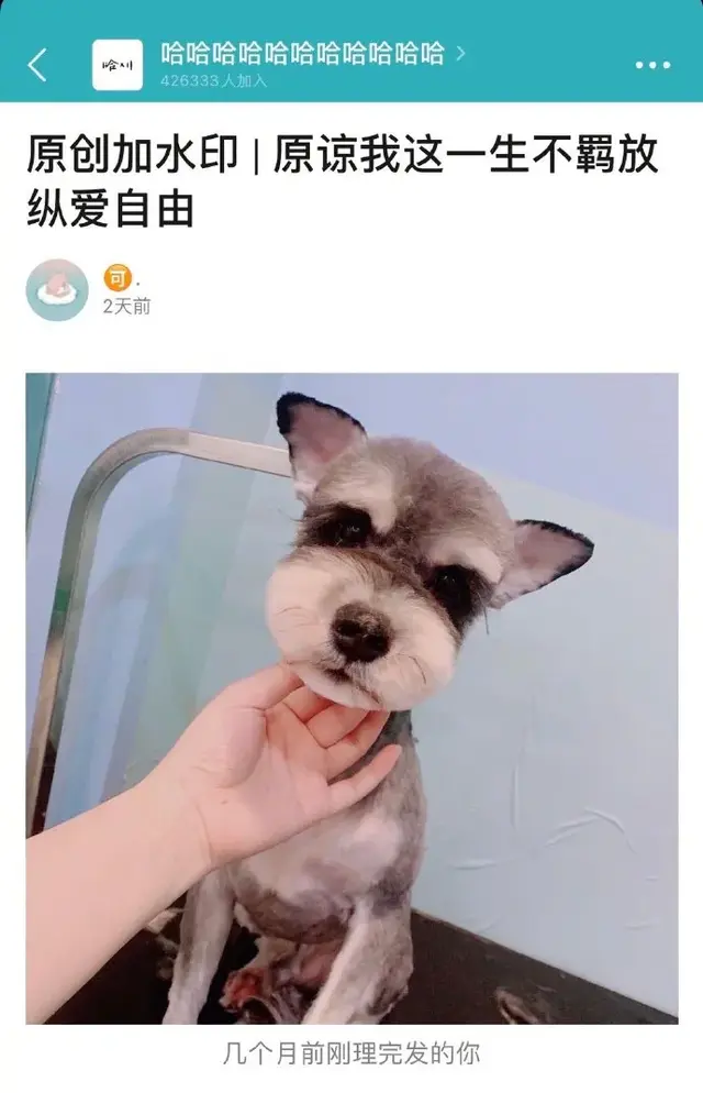 长得漂亮的女生有没有脚臭？