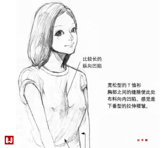 动漫女生胸部怎么画？动漫女生怎么画的性感？