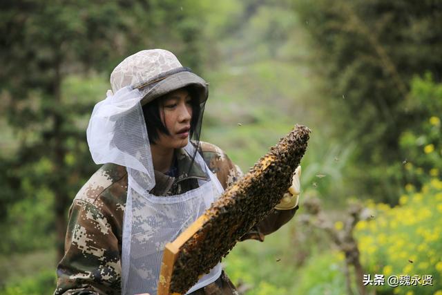 90后女大学生回秦岭老家养蜂，老公从上海追到深山陪她养蜂