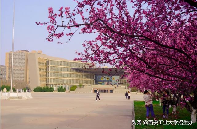 高清大图，惊艳来袭！一起来看西安工业大学的“最美校花”