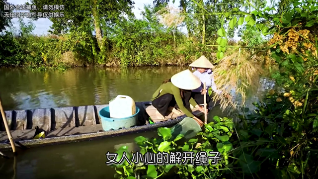 越南美女抓鱼，捕获大量过山鲫和鳑鲏鱼，好厉害#户外捕鱼