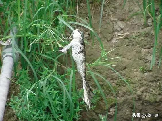 生而平凡，80后的青春，你曾经也是夏天光屁股野泳的小屁屁