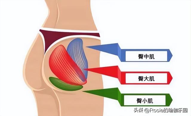 热巴红毯蛮腰翘臀身材火辣，如何解锁性感翘臀？坚持做好这3步