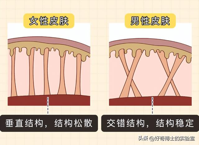 为啥很多女生大腿、屁股附近，会有白色条纹？