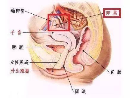 女子胸 部满是“沙子”，只因这项坑惨无数人的操作