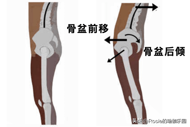 热巴红毯蛮腰翘臀身材火辣，如何解锁性感翘臀？坚持做好这3步