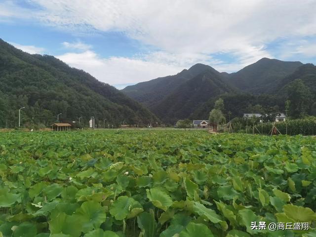 三千里路云和月—l栾川，秋扒