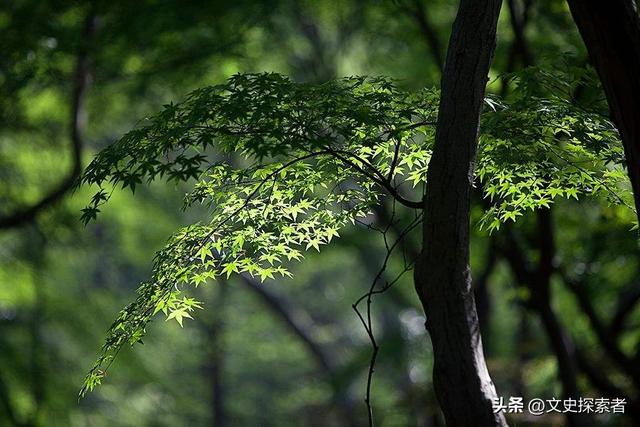 贺铸偶遇美女写下一词，情真意切，扣人心弦，后三句更是千古名句