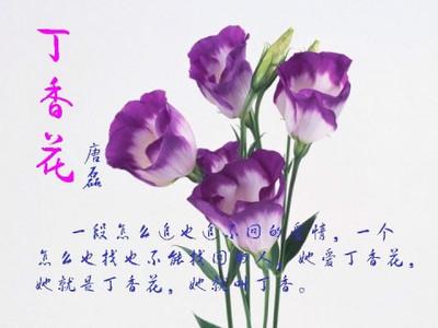 一首《丁香花》，一段凄美的爱情故事