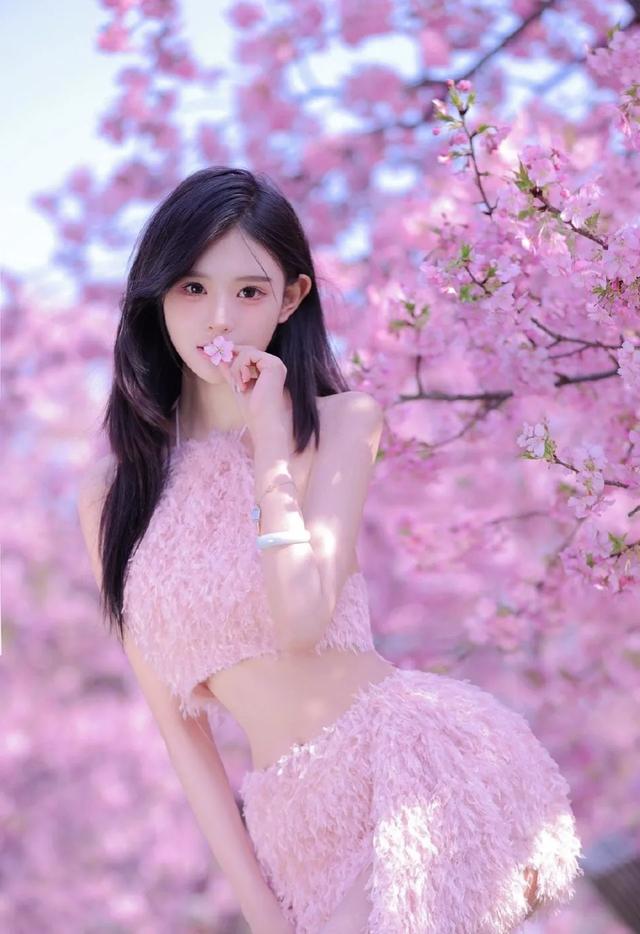 美女写真26•樱花女神