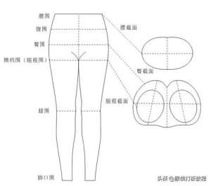 美女的屁股窿(裤子制版教程“O”式裤子制版裁剪教程（第1讲才智服装）)