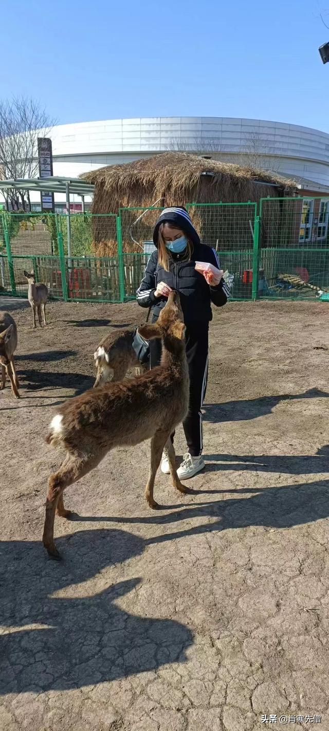 天津小伙，和俄罗斯美女网恋一年结婚，婚后过着幸福的二人世界