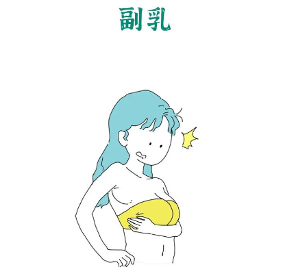 漫画科普：女生身体构造的五个“小秘密”～